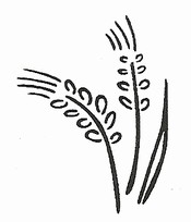 California Association of Wheat Growers CAWG logo