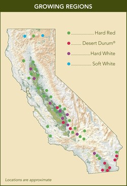 location of wheat classes in California