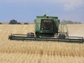 California wheat field